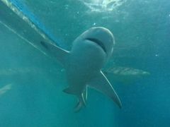 -北戴河圣蓝海洋公园