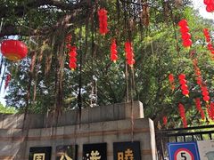 -晓港公园