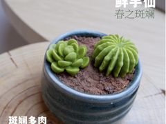 -鲜芋仙(宝地广场店)