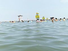 -碧海金沙