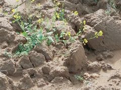 -胖哥俩肉蟹煲(宿迁宝龙广场店)