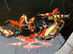 -华庭苑农家乐(旺山店)