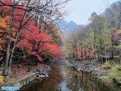 -关门山森林公园