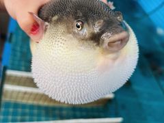 -启东小海鲜(庄先湾路1号店)