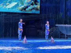 -海合安武汉极地海洋公园