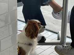 -Ocean's Table 欧舍