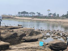 -老太太海鲜城(森林公园任家台店)