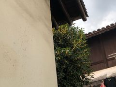 景观位-小河无名面馆