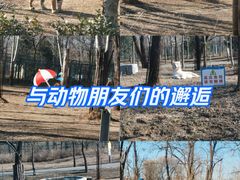 -秦皇岛野生动物园