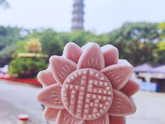 -广州莲花山旅游区