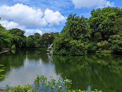 -新加坡植物园
