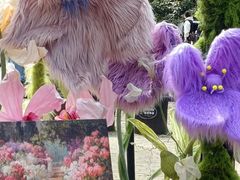 -上海共青森林公园