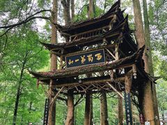 -青城山