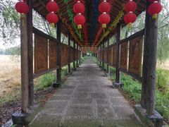 -长兴太湖图影湿地文化园