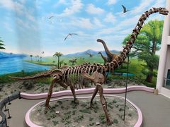 -辽宁古生物博物馆