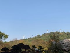 -东湖磨山景区