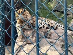 -大连森林动物园