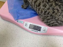 -美联众合动物医院·24h京西诊疗中心
