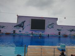 -北戴河圣蓝海洋公园