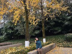 -重庆彩云湖湿地公园