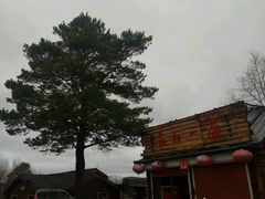 -中国最北一家
