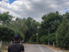 -永定河休闲森林公园