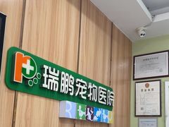 -瑞鹏宠物医院·夜间急症·心超·猫科(祖庙分店)