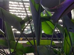 -简奥斯汀·赫本酒吧