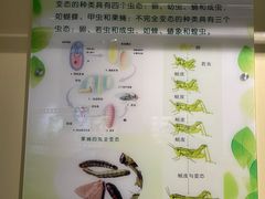 -上海昆虫博物馆