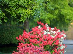 -杭州城北体育公园