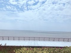 -瀛洲公园