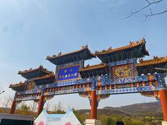 -北京西山国家森林公园