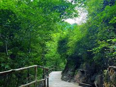 -九龙潭景区