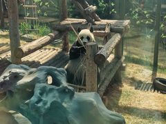 -大连森林动物园