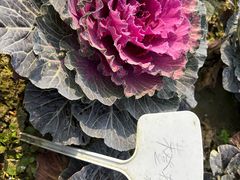 -中国天府农业博览园