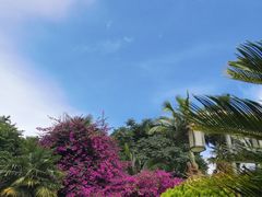 -南诏风情岛