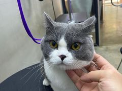 -PETKIT小佩宠物·低压洗护(国顺东路店)