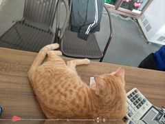 -光头佬室内钓虾场·烧烤·团建·亲子(中山八路店)