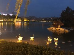 -烛影拾光观景餐厅·创意菜·摄影·小提琴(大唐不夜城店)