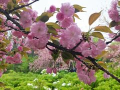 -洛阳市隋唐城遗址植物园