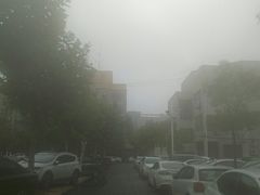 -河南财经政法大学(文北校区)