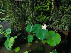 -韩湘水博园