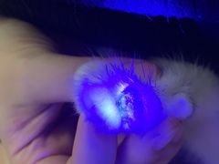 -袖虎·猫馆(体育西路店)