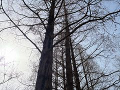 -兰溪青年公园