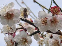 -钟山体育运动公园