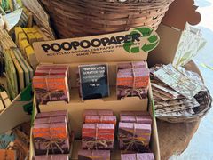 -大象粑粑造纸公园