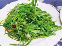 -翕庐小苑