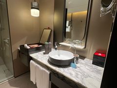 -新加坡瑞士史丹福酒店