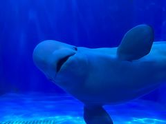 -多彩贵州城极地海洋世界