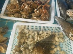 -锅老头铁锅炖•大锅蒸汽海鲜(韩乐坊店)
